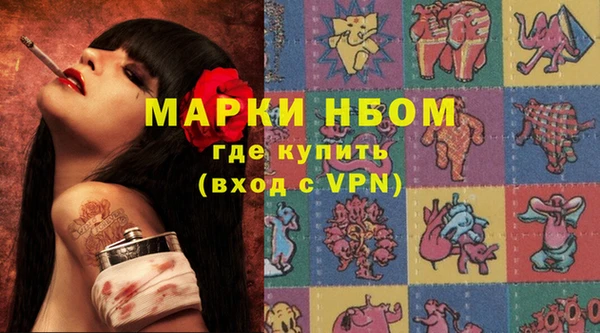 сатива Няндома