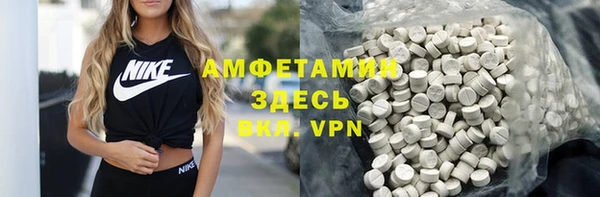 сатива Няндома
