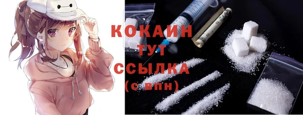 сатива Няндома