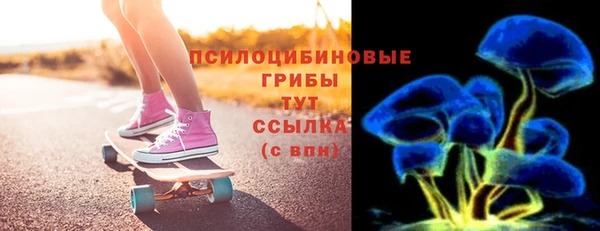 сатива Няндома
