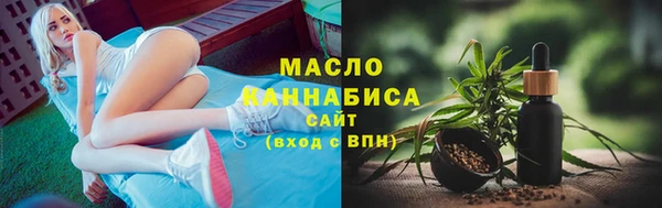 гидра Новодвинск