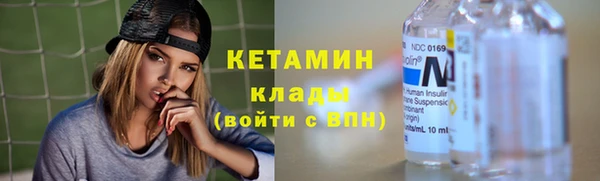 сатива Няндома