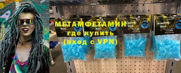 сатива Няндома