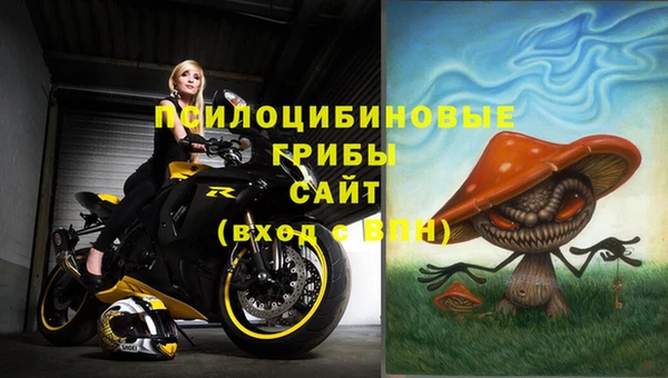 сатива Няндома