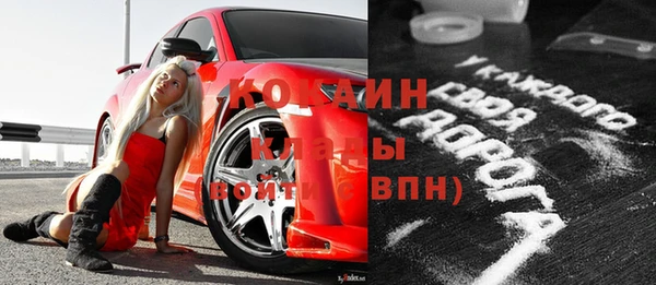 сатива Няндома