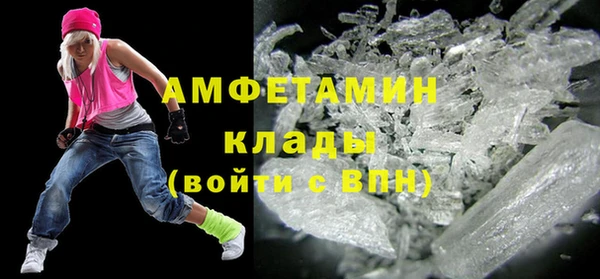 сатива Няндома