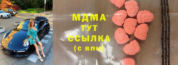 сатива Няндома