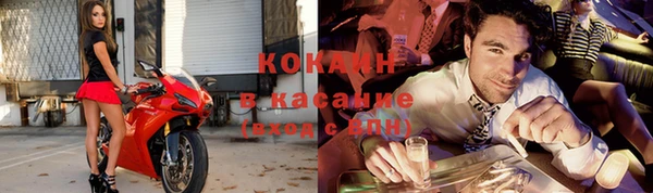 сатива Няндома