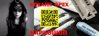 jwh Кингисепп