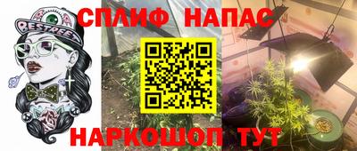 jwh Кингисепп