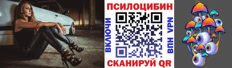 как найти наркотики  MEGA зеркало  Псилоцибиновые грибы мицелий  Нижнекамск 