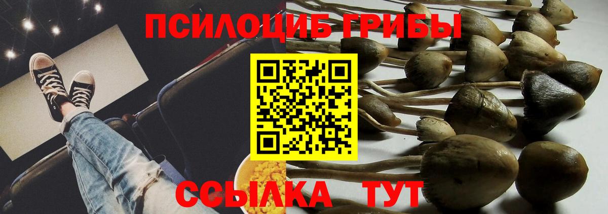 Галлюциногенные грибы мухоморы  Нижнекамск  Галлюциногенные грибы Magic Shrooms 